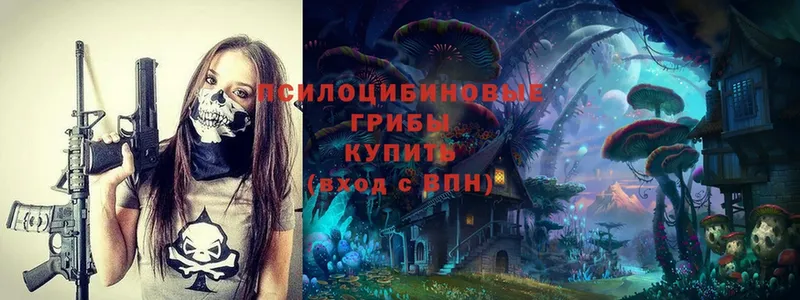 Псилоцибиновые грибы Magic Shrooms  гидра как войти  Жирновск 